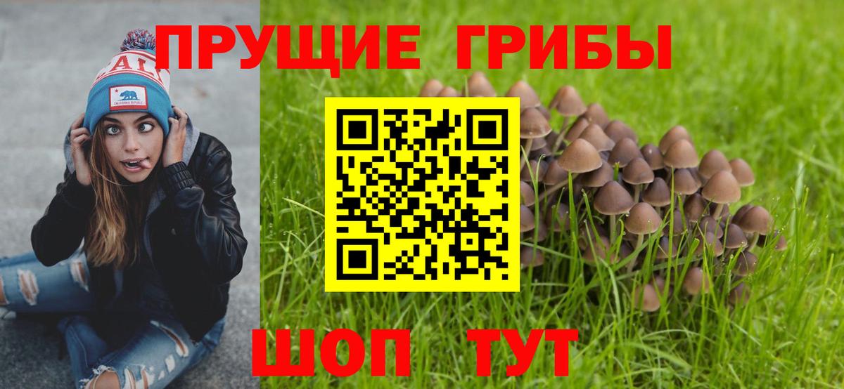 Псилоцибиновые грибы GOLDEN TEACHER Кореновск